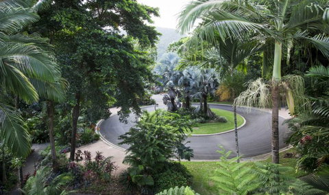 Oasis At Palm Cove - Sydneys Hotel 7