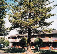 Eastern Beach Holiday Units - Sydneys Hotel