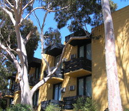 Pathfinder Motel - Sydneys Hotel 1