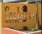 Seahorse Motel - Sydneys Hotel 1