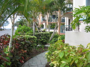 Pacific Place Apartments - Sydneys Hotel 5
