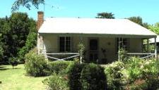 Olive Hill Farm