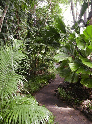 Rainforest Grove Holiday Resort - Sydneys Hotel 1