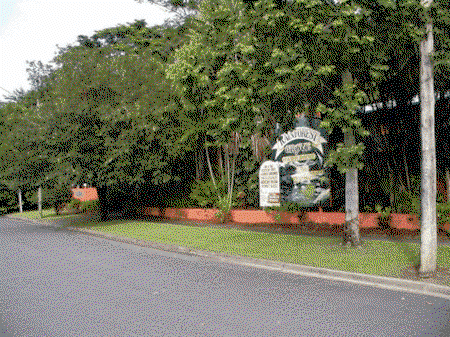 Rainforest Grove Holiday Resort - Sydneys Hotel 2