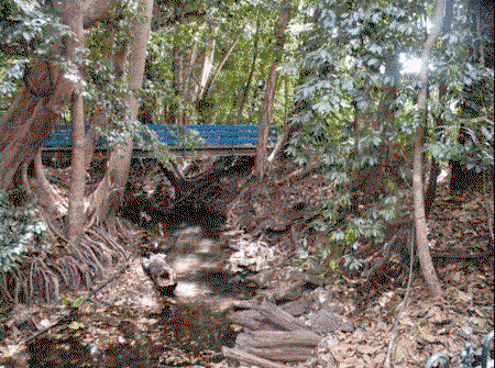 Rainforest Grove Holiday Resort - Sydneys Hotel 3