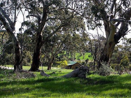 Wuthering Heights - Bronte Manor - Sydneys Hotel 3