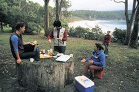 Fortescue Bay Camping Ground - Sydneys Hotel 0