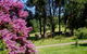Figlea Cottages - thumb 0