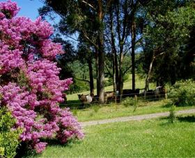 Figlea Cottages - Sydneys Hotel 0