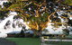 Arley Farm, The Old Dairy - thumb 0