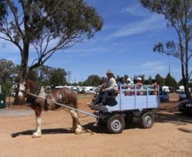 Ariah Park Camping Ground - Sydneys Hotel 1