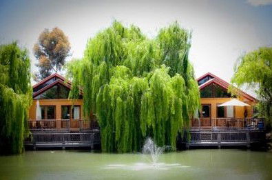 Perricoota Vines Retreat - Sydneys Hotel 0