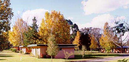 Castlereagh Village Holiday Units - Sydneys Hotel 4