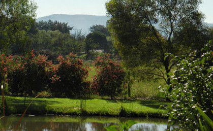 Amazing Country Escapes - Evanslea By The River - Sydneys Hotel 4