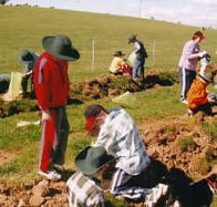 Banderra B and B Farmstay