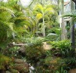 Chamomile Bed and Breakfast - Sydneys Hotel