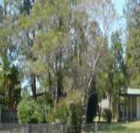 Nimbin Backpackers at Grannys Farm - Sydneys Hotel