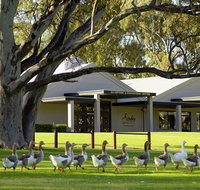 Serafino McLaren Vale