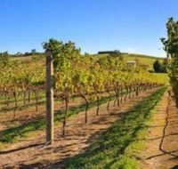 DeVine Escape - Sydneys Hotel