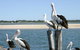Tuncurry Sunset Motel - thumb 3