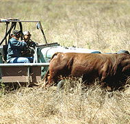 Bullo River Station - Sydneys Hotel