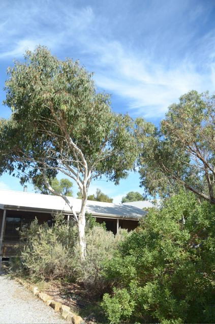 Dune Hideaway - Sydneys Hotel 2