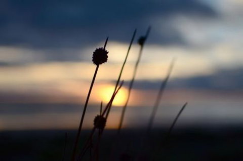 Dune Hideaway - Sydneys Hotel 8
