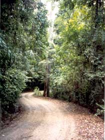 Mt Glorious Getaway Cottages And Conference Centre - Sydneys Hotel 0