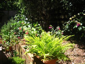 Bungunyah Apartments - Sydneys Hotel 1