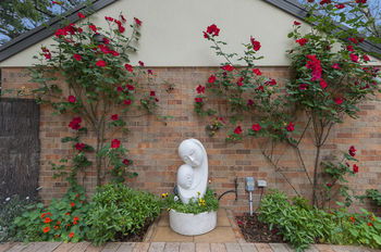 Bungunyah Apartments - Sydneys Hotel 8