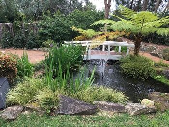 Checkers Resort & Conference Centre - Sydneys Hotel 20