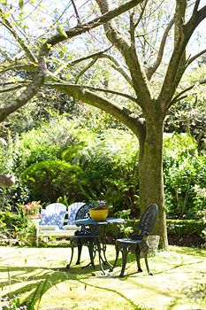 Adeline Bed And Breakfast - Sydneys Hotel 7