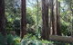 Adeline Bed And Breakfast - thumb 8