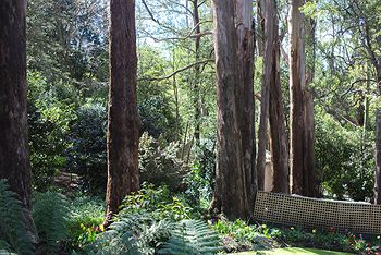 Adeline Bed And Breakfast - Sydneys Hotel 8