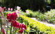 Adeline Bed And Breakfast - thumb 17