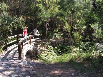 Glass House Mountains Ecolodge - Sydneys Hotel 9