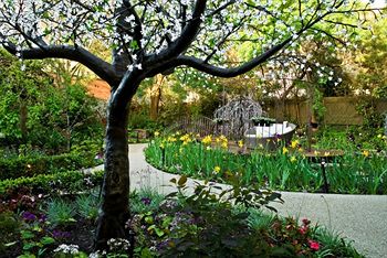 Elizabethan Lodge - Sydneys Hotel 1
