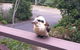 Avoca Beach Hotel & Resort - thumb 49