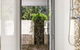 Alaya Verde - thumb 14