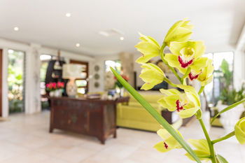 Alaya Verde - Sydneys Hotel 29