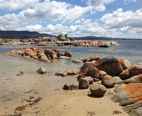 Lake Eckersley Campground - Sydneys Hotel 0
