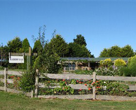 Blueberry B & B - Sydneys Hotel 1