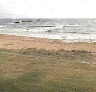 Penguin Caravan Park - Sydneys Hotel