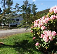 Zeehan Bush Camp  and Caravan Park - Sydneys Hotel
