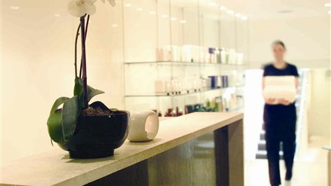 Lyall Hotel And Spa - Sydneys Hotel 4