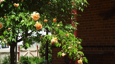 Carlyle House Rutherglen - Sydneys Hotel 5