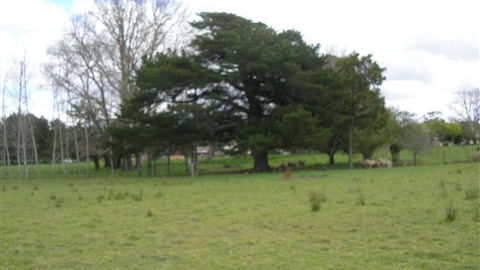 Auberge Woodend - Sydneys Hotel 3