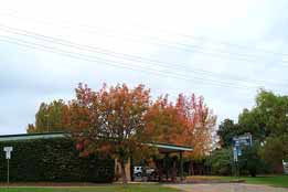 Allambie Motel Pty Ltd - Sydneys Hotel 0
