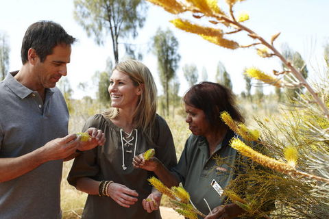 Ayers Rock Campground - Sydneys Hotel 2
