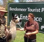 Bendemeer Tourist Park